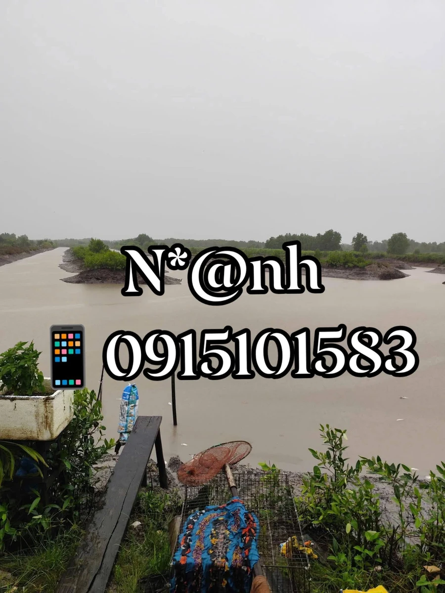 Bán đất Ngọc Hiển Cà Mau 36m² sổ hồng 1 tỷ 5 - Ảnh thu nhỏ 2