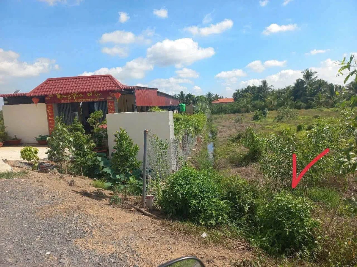 Bán 1000m² đất vườn Bình Đức, Bình Chánh - Ảnh thu nhỏ 3