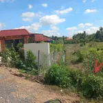 Bán 1000m² đất vườn Bình Đức, Bình Chánh - Ảnh thu nhỏ 3