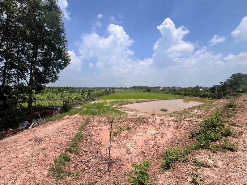 Bán đất vườn 3363m2 Phường Gò Dầu Tây Ninh