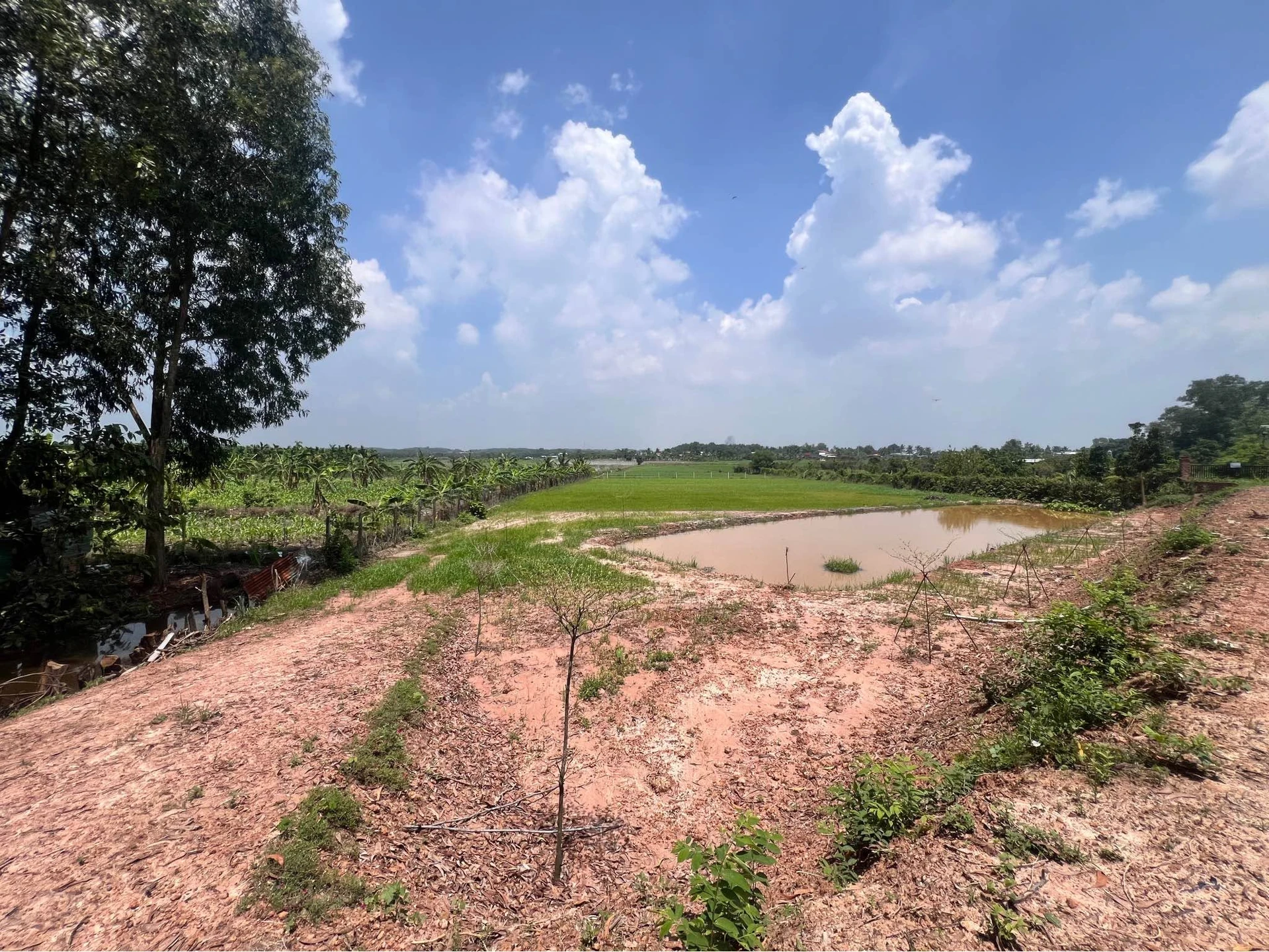 Bán đất vườn 3363m2 Phường Gò Dầu Tây Ninh - Ảnh 1