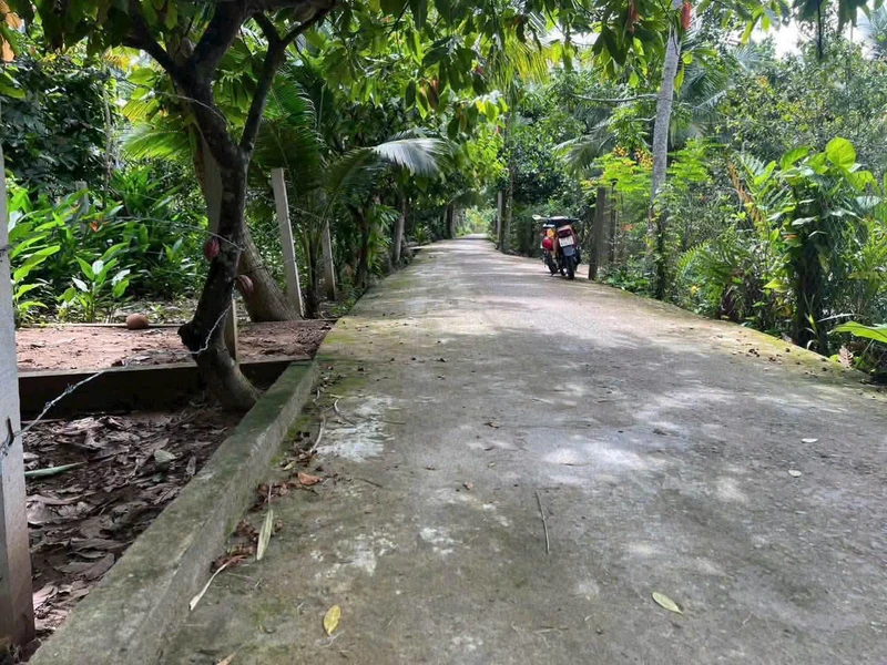 Bán đất Phú Túc Châu Thành Vĩnh Long 1,7 công