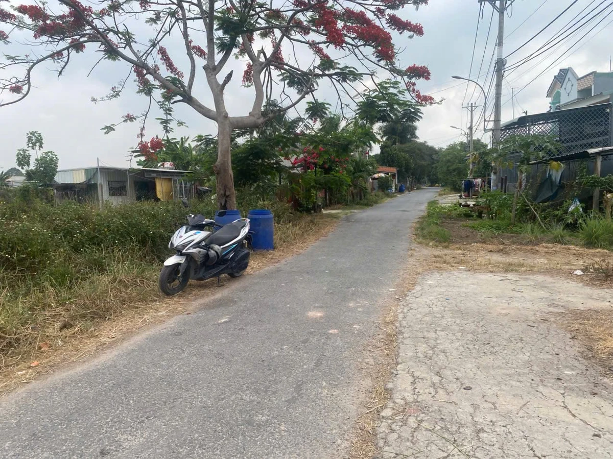 Bán đất mặt tiền Tân Thạnh Đông Củ Chi 7200m2 - Ảnh thu nhỏ 3