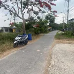 Bán đất mặt tiền Tân Thạnh Đông Củ Chi 7200m2 - Ảnh thu nhỏ 3
