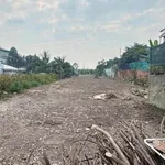 Bán lô đất xây nhà ở Phú An 1 tỷ 290 - Ảnh thu nhỏ 4