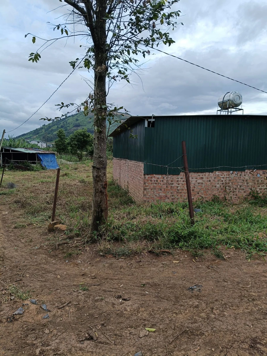 Bán đất Gia Bá Tân Hội 1213m2, giá 1,1 tỷ - Ảnh 1