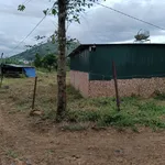 Bán đất Gia Bá Tân Hội 1213m2, giá 1,1 tỷ - Ảnh thu nhỏ 1