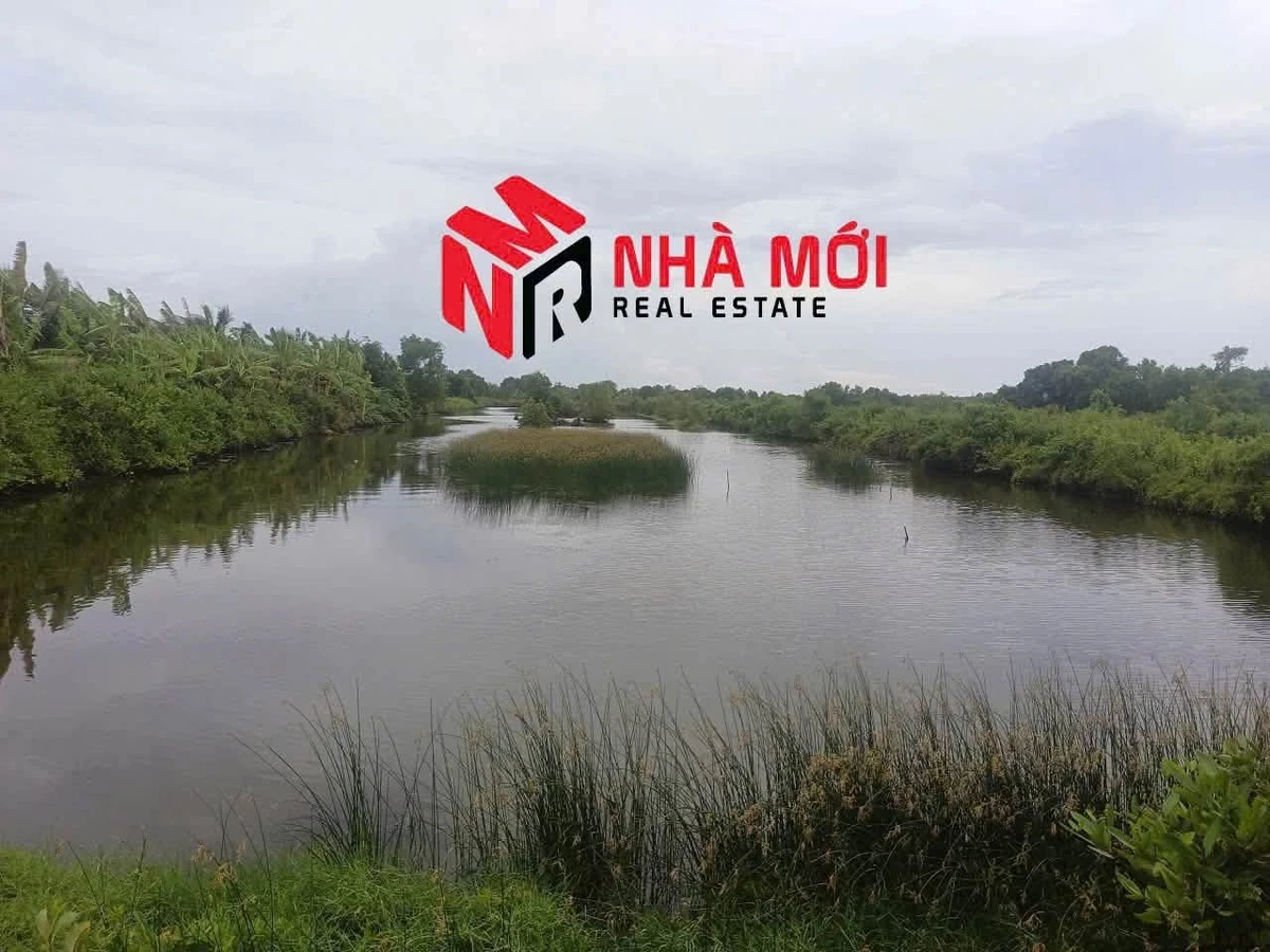 Bán đất vuông 36 công Ấp Cái Cám, Cà Mau - Ảnh thu nhỏ 5