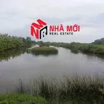 Bán đất vuông 36 công Ấp Cái Cám, Cà Mau - Ảnh thu nhỏ 5