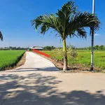 Bán 854 m² đất lúa Xã Vĩnh Công Nhà Bè 850 triệu - Ảnh thu nhỏ 2