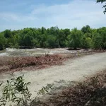 GIẢM SỐC CÒN 10 TỶ LÔ ĐẤT HƠN 4300M2 tại Trung tâm phường Lagi, cách biển 1km - Ảnh thu nhỏ 4