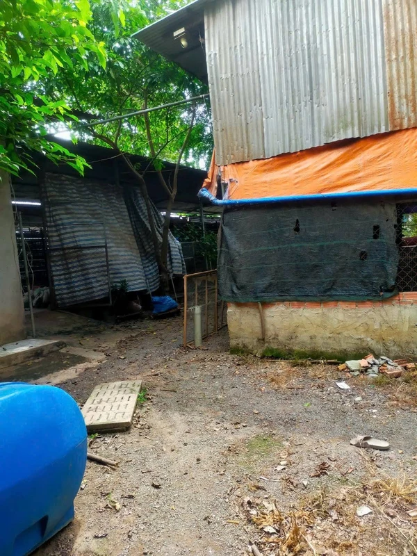 Bán đất trang trại 2300m2 Đồng Nai 2 tỷ 3