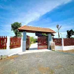 Bán nhà vườn 735m² tại Hàm Chính, Nhà Bè, 1,9 tỷ - Ảnh thu nhỏ 1