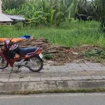 Bán đất mặt tiền Trương Vĩnh Trọng 375m2 Vĩnh Long - Ảnh thu nhỏ 1
