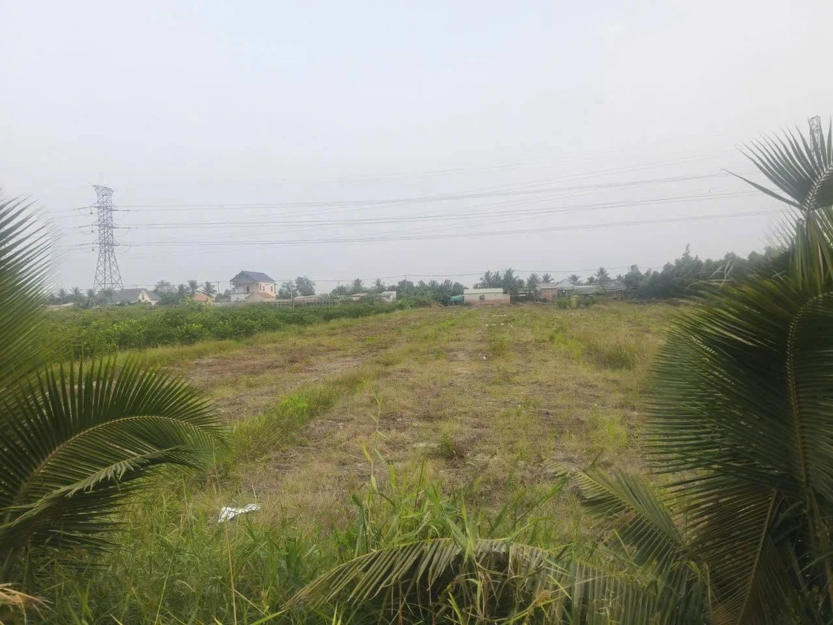 Bán lô đất vườn 3000m² mặt kênh, Bến Lức, Long An - Ảnh thu nhỏ 4