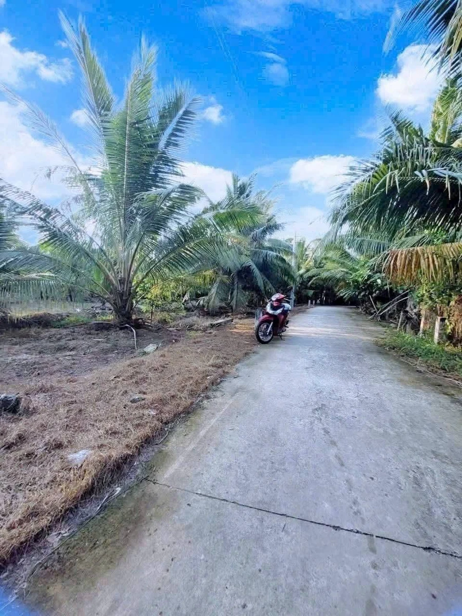 Bán đất Sơn Đông Vĩnh Long 666m2, giá 1 tỷ 180 triệu - Ảnh thu nhỏ 2