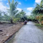 Bán đất Sơn Đông Vĩnh Long 666m2, giá 1 tỷ 180 triệu - Ảnh thu nhỏ 2
