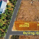 Bán lô đất góc 250m2 Km12 Eatu-KoTam, Bình Chánh - Ảnh thu nhỏ 2