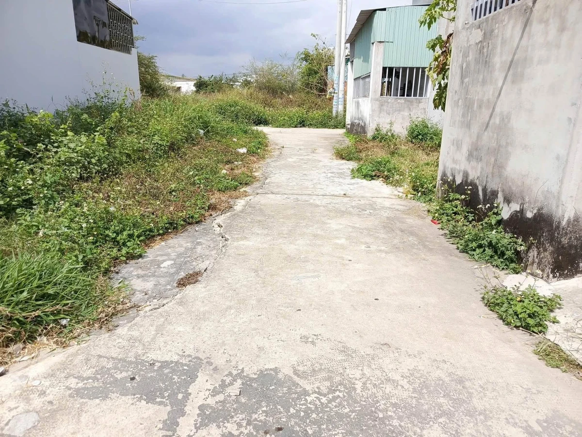 Bán lô đất Tiến Lợi, Phan Thiết, 61m², 500 triệu - Ảnh thu nhỏ 4