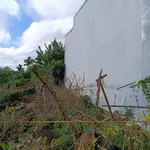 Bán đất hẻm 2 mặt tiền Nguyễn Xuân Nguyên, 48m², 2 tỷ 250 - Ảnh thu nhỏ 4