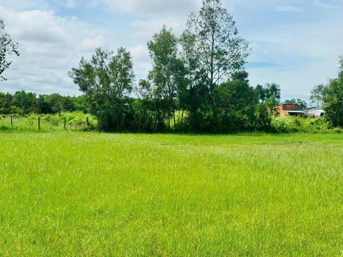Bán đất hẻm Trường Đông, Long Hoa, Tây Ninh, 1000m² - Ảnh thu nhỏ 2
