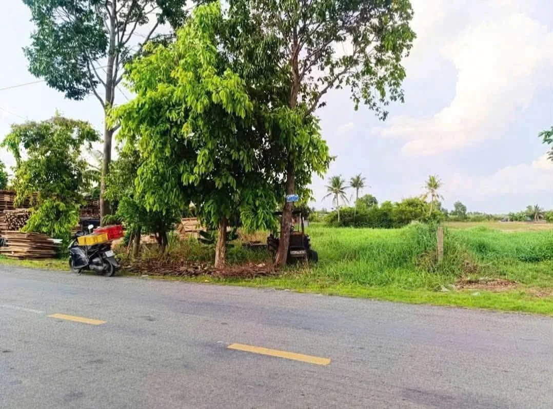 Bán đất mặt tiền Tỉnh Lộ 832 Tân Phước 324m² - Ảnh thu nhỏ 4
