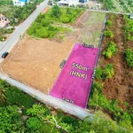 Bán đất 550m² ở xã Thạnh Hoà, Bến Lức, Long An - Ảnh thu nhỏ 2
