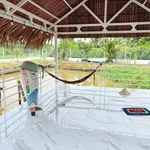 Bán nhà vườn 1068m² Bến Lức Long An, 3PN, sổ hồng - Ảnh thu nhỏ 5