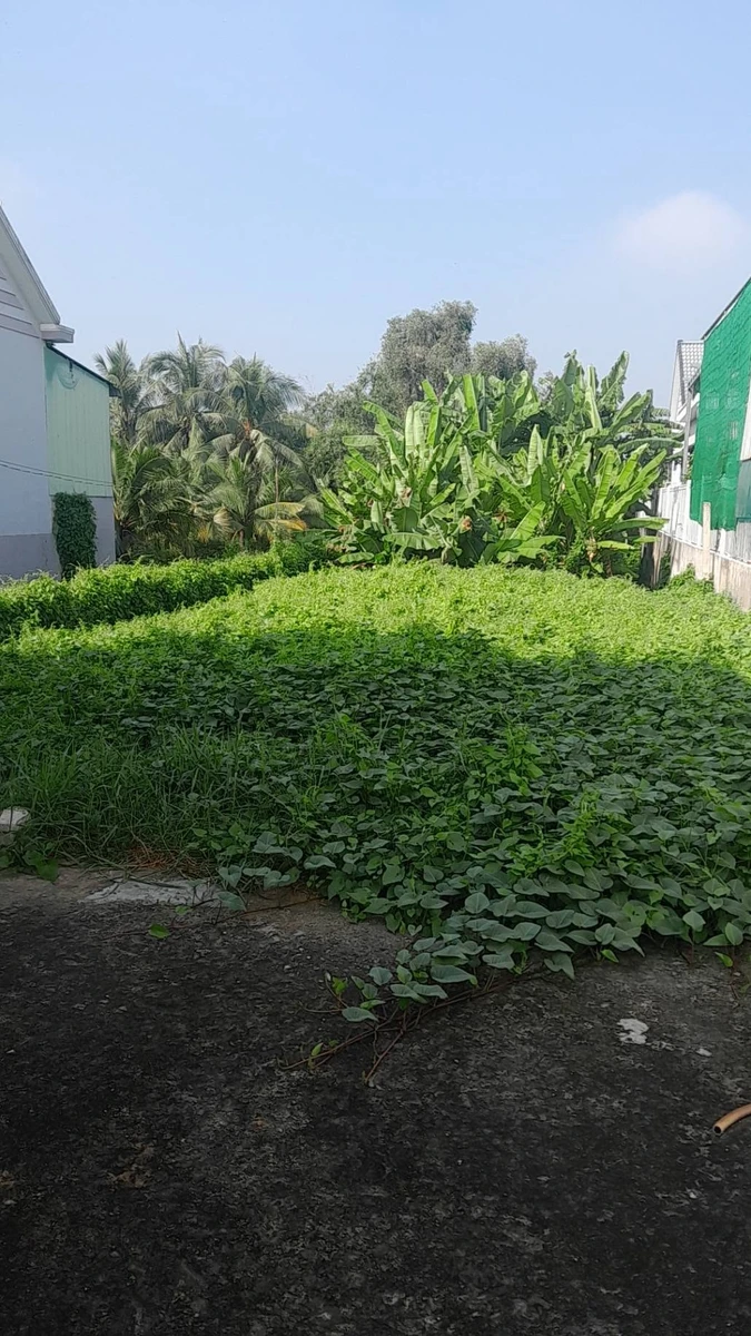 Bán đất mặt tiền 9,5 x 85 m (807,5 m²) 6,5 tỷ Thủ Thừa - Ảnh thu nhỏ 3