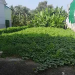 Bán đất mặt tiền 9,5 x 85 m (807,5 m²) 6,5 tỷ Thủ Thừa - Ảnh thu nhỏ 3