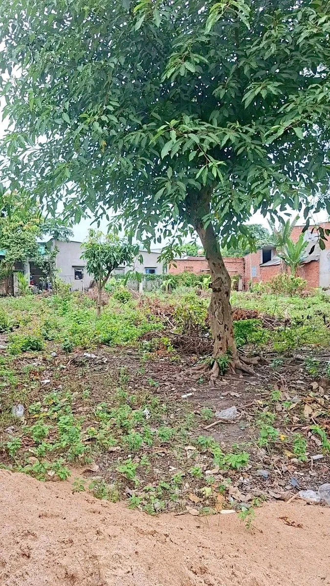 Bán đất mặt tiền 581m² gần chợ An Ngãi, Long Điền giá 2 tỷ 200 triệu - Ảnh thu nhỏ 3