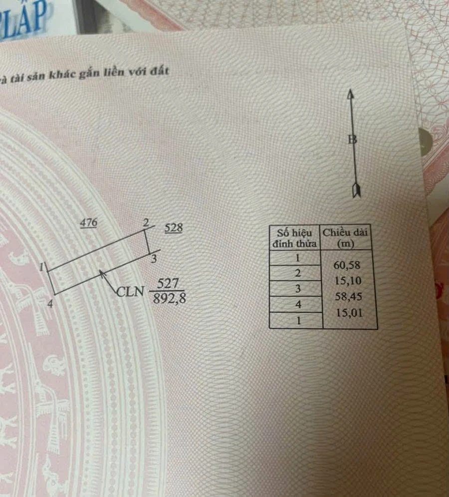 Bán đất lô góc 2 mặt tiền 200m2 trồng cà phê, tiêu tại Thôn 1, Đắk Wer, Đắk Nông - Ảnh thu nhỏ 2