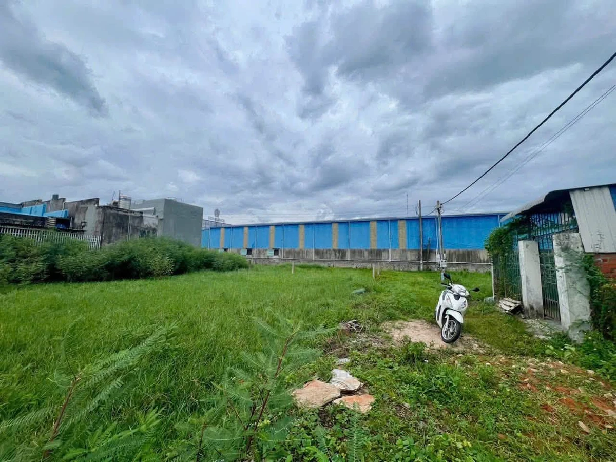 Bán đất thổ cư 200m2 xã Hàm Mỹ Cũ, Lâm Đồng - 1 tỷ - Ảnh thu nhỏ 2