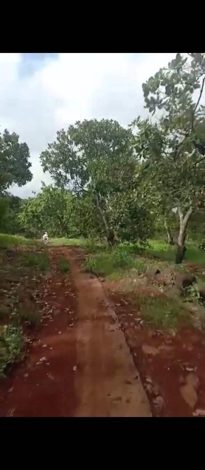 Bán đất Đồng Phú 4,65ha giá 4.5 tỷ - Ảnh 1