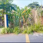 Bán lô đất 77m2 Phường Phú An, Thủ Đức 1tỷ260 - Ảnh thu nhỏ 4