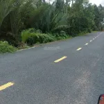 Chính chủ bán 19000m2, khu du lịch sinh thái Khóm cầu đúc, sẵn nhà, thổ cư, sổ hồng riêng - Ảnh thu nhỏ 17