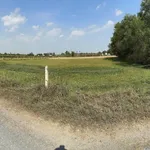 Bán đất Ấp Mỹ Thạnh Đông, Tây Ninh 2.446 m² giá 3.5 tỷ - Ảnh thu nhỏ 3