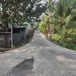 Bán đất ruộng góc 2 mặt tiền 150m x 400m Mong Thọ B Kiên Giang - Ảnh thu nhỏ 4