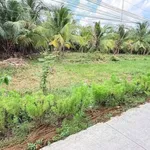 Bán 1336m2 đất mặt tiền Mỹ Thạnh Giồng Trôm - 1tỷ950 - Ảnh thu nhỏ 2