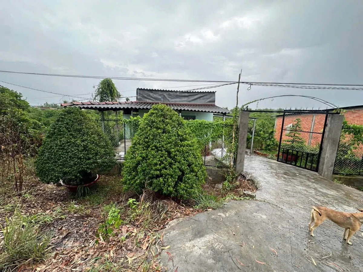 Bán đất vườn 1.000m² giáp sông Rạch Chiếc 1 tỷ 150 triệu Bến Lức - Ảnh thu nhỏ 2
