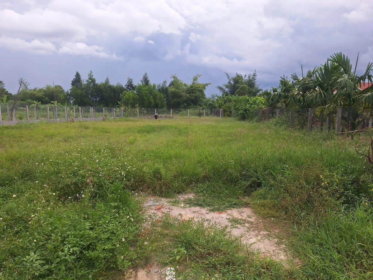 Bán vườn 1000m² tại xã Tư Nghĩa, Bình Dương 1,4 tỷ - Ảnh thu nhỏ 2