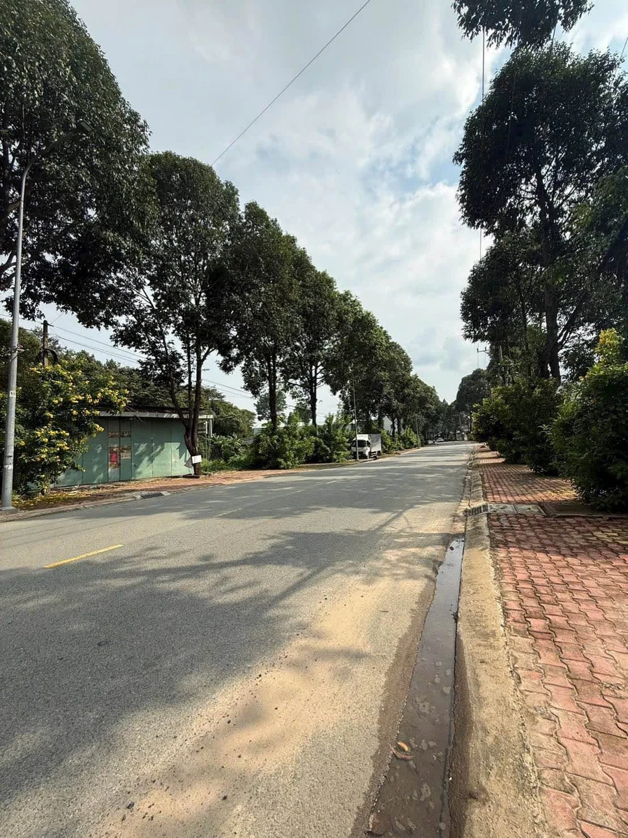 Bán lô đất mặt tiền Nguyễn Đức Thuận 164m² Hiệp Thành Thủ Dầu Một - Ảnh thu nhỏ 2