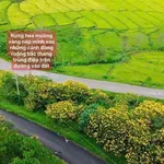 Bán đất nền biệt thự 320m² Di Linh, Lâm Đồng - Ảnh thu nhỏ 4