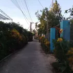 Bán đất ở 180m2 ngang 5m, đường bê tông ô tô thông tại Nghĩa Điền, Quảng Ngãi - Ảnh thu nhỏ 1