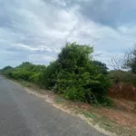 Bán đất nông nghiệp mặt tiền Tôn Đức Thắng Phú Quý 1521m² - Ảnh thu nhỏ 4