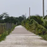 Bán đất vườn rộng 1 sào tại Long Khánh, Đồng Nai - Ảnh thu nhỏ 4