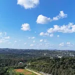Bán lô đất 133m² view núi và TP Bảo Lộc, Lâm Đồng - Ảnh thu nhỏ 2