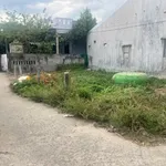 Cần bán lô đất cách biển 20m đứng tại đất nhìn thấy biển 950 triệu - Ảnh thu nhỏ 2