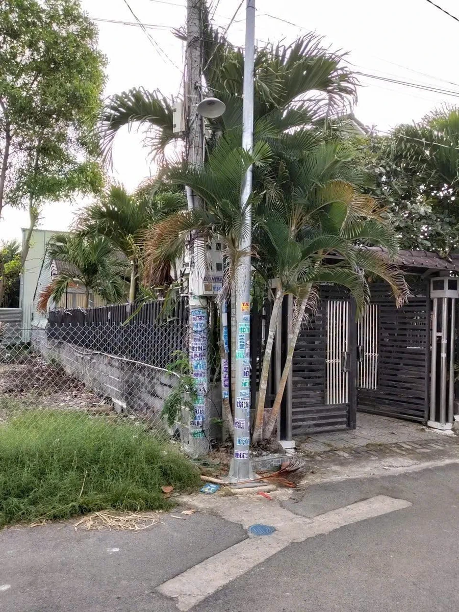 Bán nhà vườn Long Hải 250m² gần biển, giá 3 tỷ 850 triệu - Ảnh thu nhỏ 3