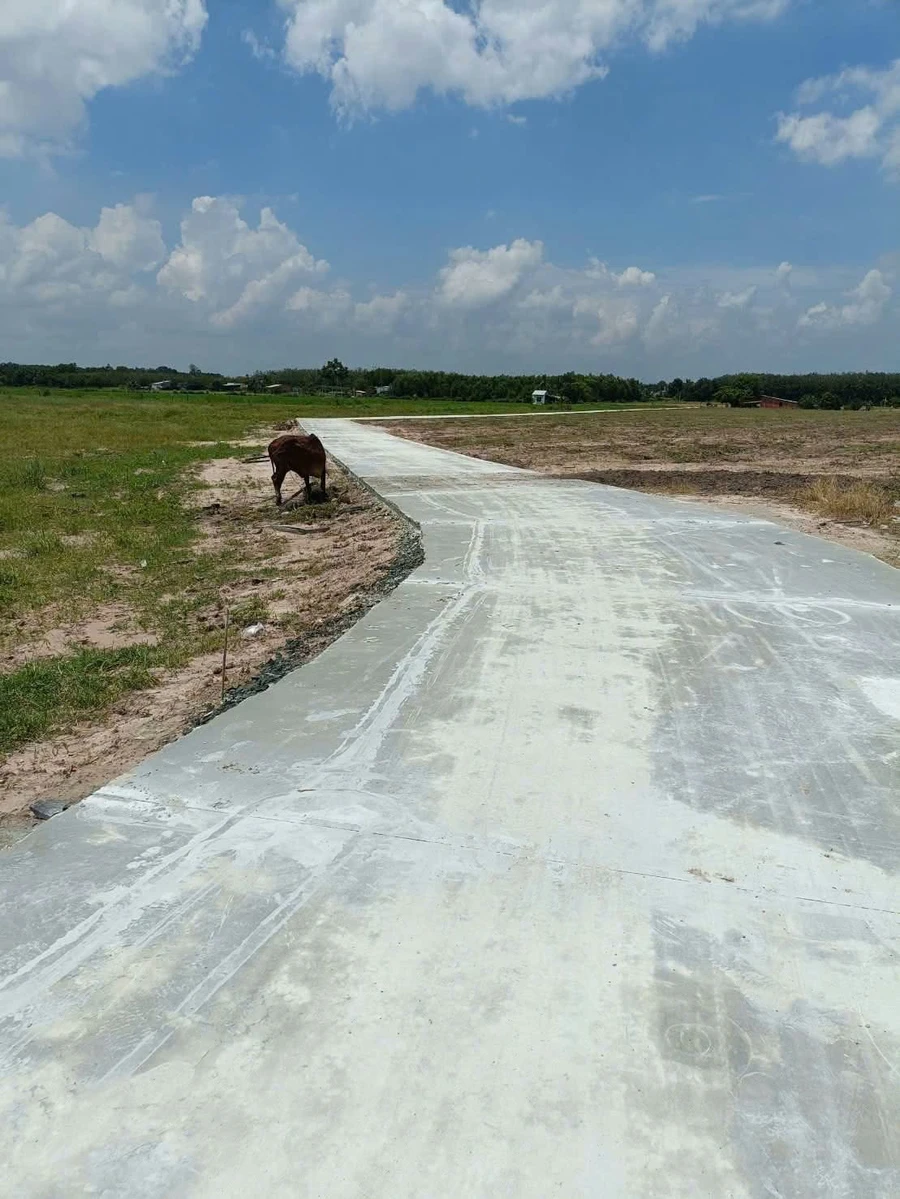 Bán đất công Xóm Mới 2 1000m2 Châu Thành Tây Ninh - Ảnh thu nhỏ 2
